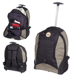Trek Backpack / Trolley Back Pack