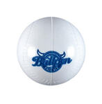 Plastic Baseball
