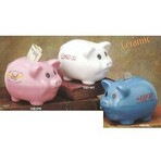 Ceramic Piggy Bank
