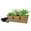 Seeds with your custom printed branding or personalized logo.