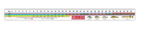 Custom Fish Ruler Decal