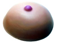 Breast Self-Exam Instructional Aid... from ASI 36730 Ariel Premium Supply Inc