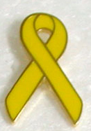 Yellow Lapel Pin