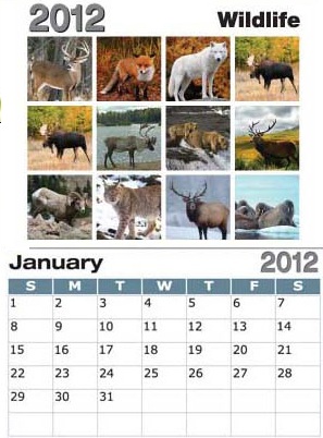 Wildlife Sticky Back Calendar... from ASI 79392 Premiums Plus Inc